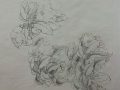 -八哥美术·成人美术画室(总校区)