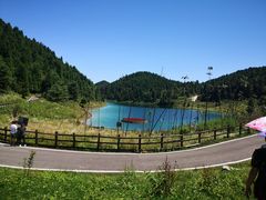 -武陵山森林公园
