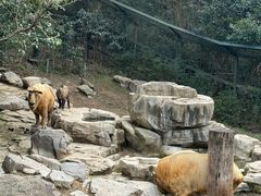 -宁波野生动物园