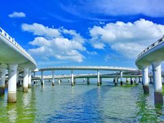 -演武大桥观景平台