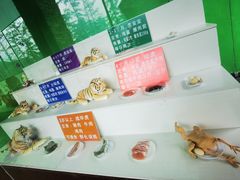 -横道河子东北虎林园
