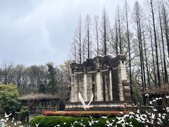 -音乐台