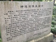 -上海方塔园