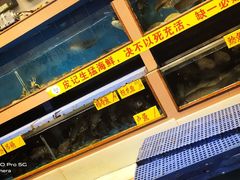 -皮记海鲜1995(寮步店)