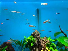 -太平洋海底世界