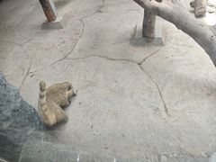 -武汉动物园