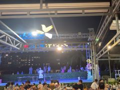 -渔家火锅·海鲜自助餐·演艺(亚龙湾天域酒店)