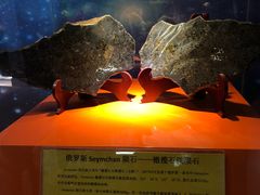 -紫金山天文台