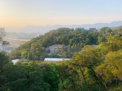 -金鸡山公园
