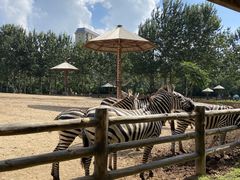 -大连森林动物园