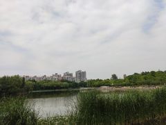-新江湾城公园