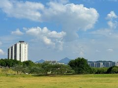 -风云岭森林公园