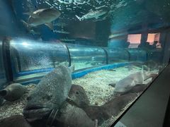 -福州罗源湾海洋世界旅游区