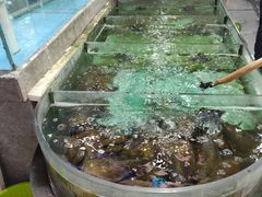 -海晖酒楼·顺德鱼生(荣华店)