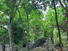 -紫金山天文台