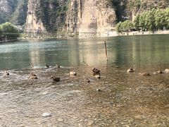 -十渡东湖港风景区