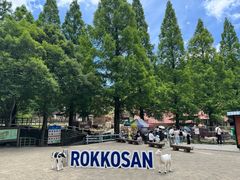 -神户市立六甲山牧场