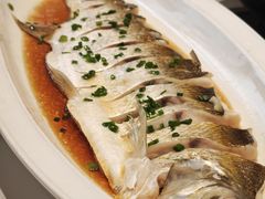 -松沪名灶·豆浆鱼头·新上海菜(江川路交大店)