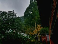 -青城山