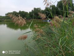 -燕郊植物园
