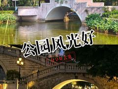 -金砂公园