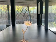-知美术馆