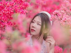 -木兰云雾山