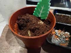 -火炉火自助餐(枫蓝国际店)