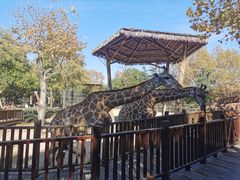 -上海野生动物园