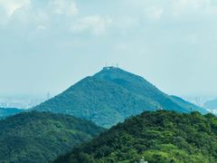 -杭州半山国家森林公园