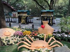 -上海共青森林公园