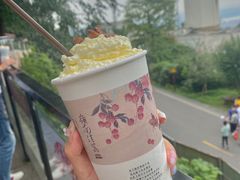 桂花弄-茶颜悦色(岳麓山顶店)
