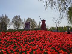 -廊坊文化艺术中心