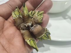 -万山楼海鲜酒家·二十三年老字号