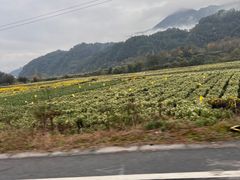 -塔川景区