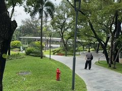 -云溪植物园