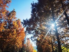 -北京理工大学(中关村校区)