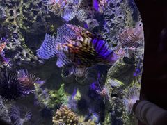 -太平洋海底世界