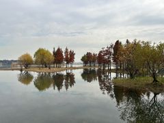 -贡湖湾湿地公园