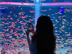 -海合安成都极地海洋公园