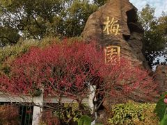 -无锡梅园公园