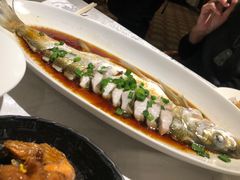 -金美华轩(东方路齐鲁店)
