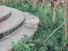 -木兰水镇旅游景区