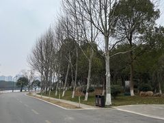 -洋湖国家湿地公园