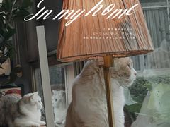 -咖法森林·咖啡  酒吧(天河店)