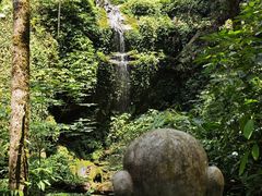 -莫里热带雨林景区