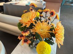 -南堂馆·新川菜(春熙路店)