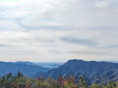 -大岭沟猕猴桃谷风景区