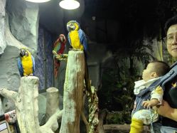 -Zoolung Zoolung动物主题公园(海信广场店)