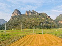 -明仕田园
